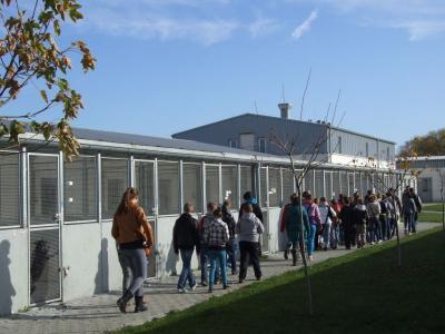 schronisko _lublin_11.jpg